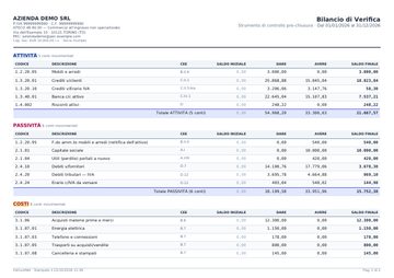 Anteprima: Bilancio di verifica (esempio)